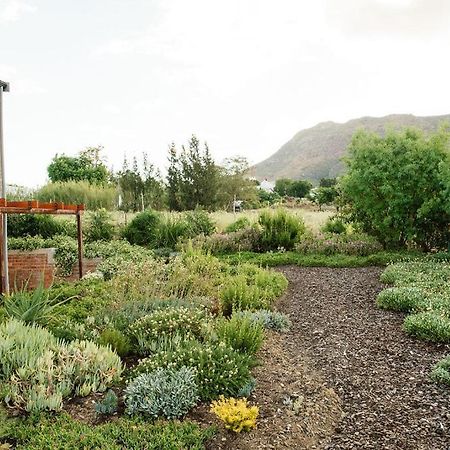 ريبيك كاستيل Vineyard Views Country House المظهر الخارجي الصورة