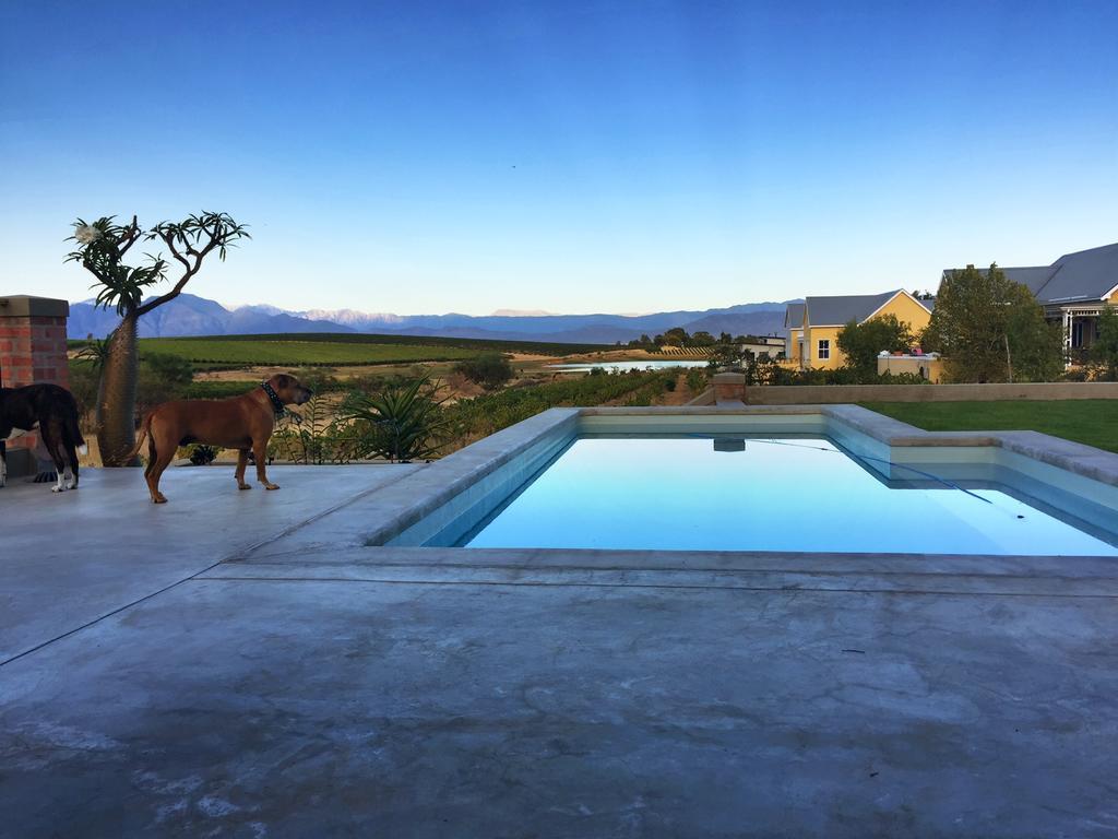 ريبيك كاستيل Vineyard Views Country House المظهر الخارجي الصورة