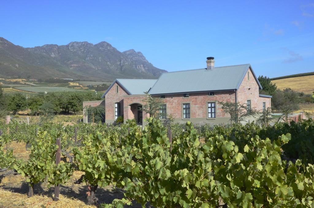 ريبيك كاستيل Vineyard Views Country House المظهر الخارجي الصورة