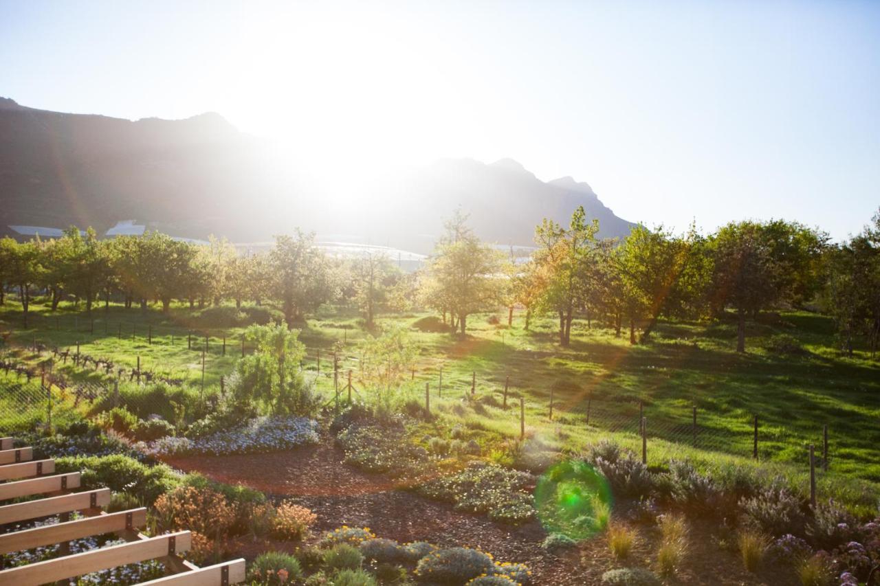 ريبيك كاستيل Vineyard Views Country House المظهر الخارجي الصورة