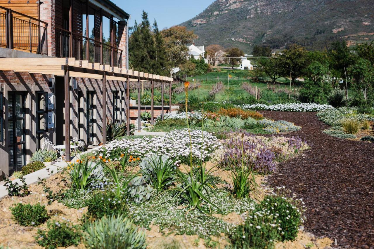 ريبيك كاستيل Vineyard Views Country House المظهر الخارجي الصورة