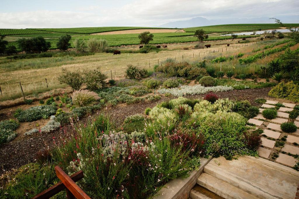 ريبيك كاستيل Vineyard Views Country House المظهر الخارجي الصورة