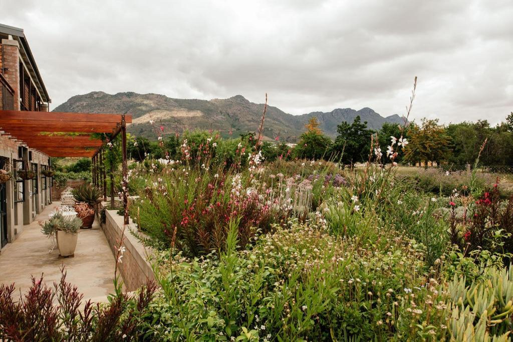 ريبيك كاستيل Vineyard Views Country House المظهر الخارجي الصورة