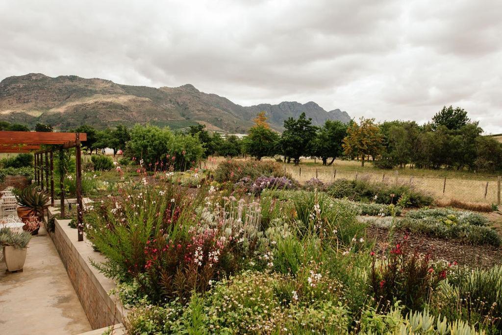 ريبيك كاستيل Vineyard Views Country House المظهر الخارجي الصورة