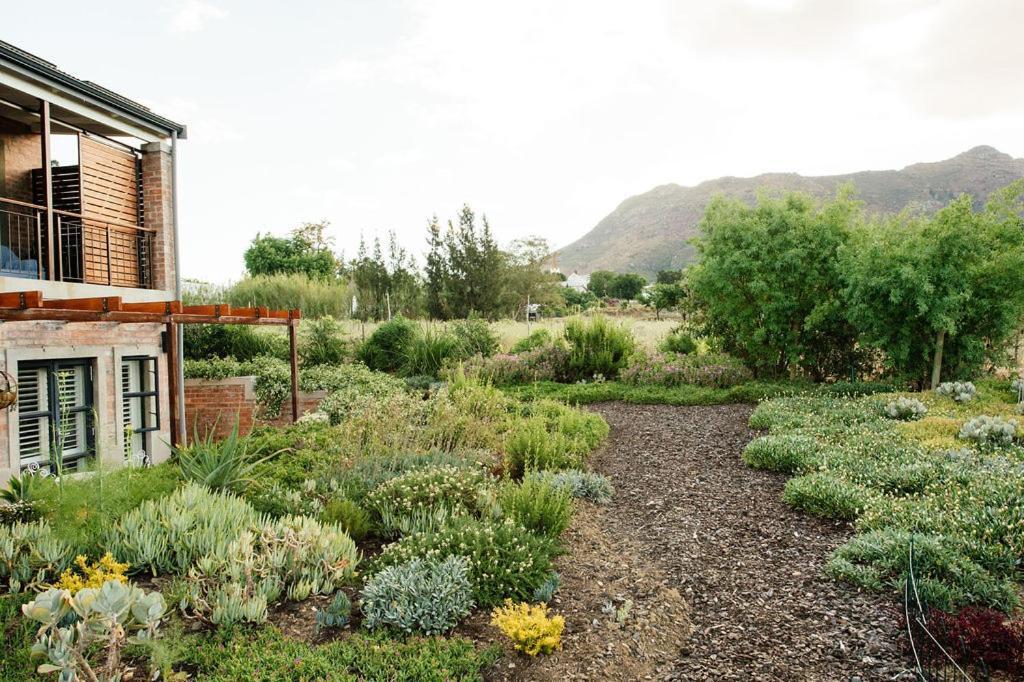 ريبيك كاستيل Vineyard Views Country House المظهر الخارجي الصورة