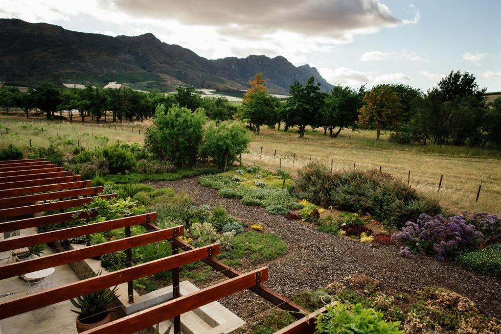 ريبيك كاستيل Vineyard Views Country House المظهر الخارجي الصورة