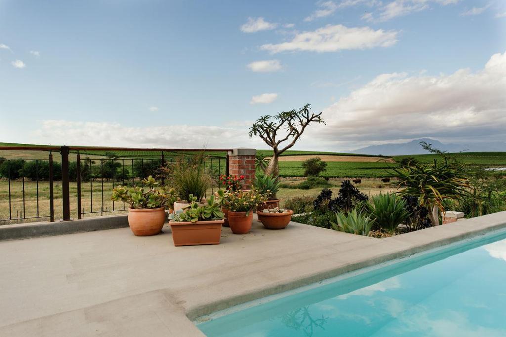 ريبيك كاستيل Vineyard Views Country House المظهر الخارجي الصورة